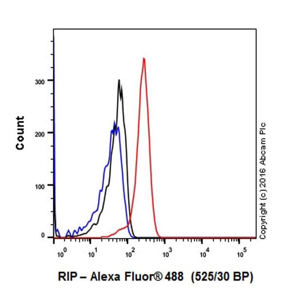 Anti-RIP antibody [EPR19697] - BSA and Azide free(AB238451)