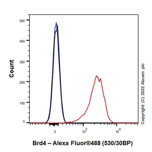 Anti-Brd4 antibody [EPR25425-23](AB289886)