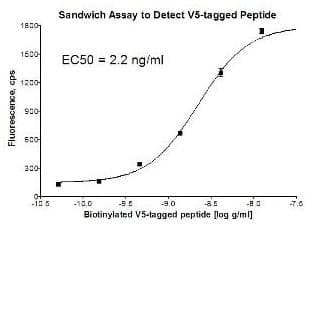 PE Anti-V5 tag antibody(AB72480)