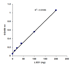 KDM1/LSD1 Activity Quantification Assay Kit (Colorimetric)(AB113459)