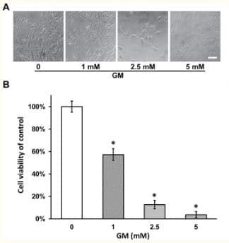 Thiazolyl blue tetrazolium bromide (MTT), membrane-permeable dye(AB146345)