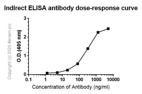 Anti-6X His tag® antibody [AD1.1.10](AB15149)