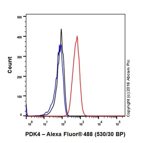 Anti-PDK4 antibody [EPR19727-245](AB214938)