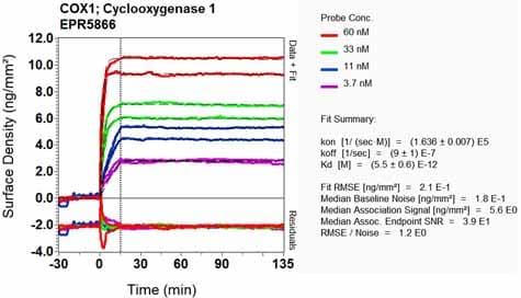 Anti-COX1 / Cyclooxygenase 1 antibody [EPR5866](AB109025)