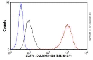 Anti-EGFR antibody [E235] - BSA and Azide free(AB227459)