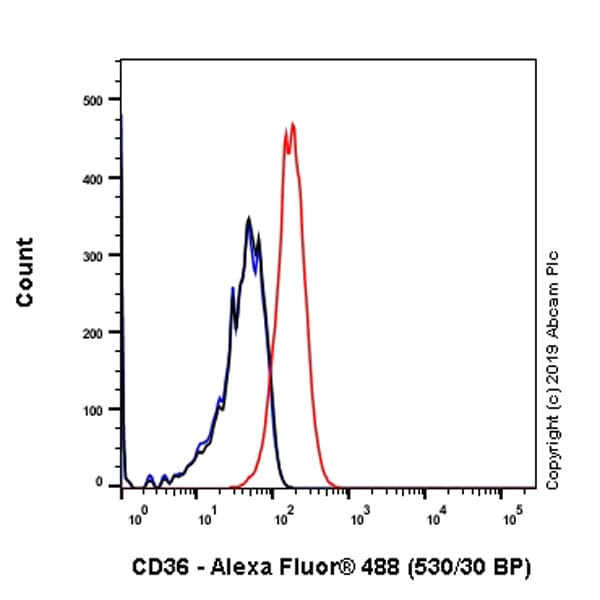 Anti-CD36 antibody [EPR22509-40](ab252922)