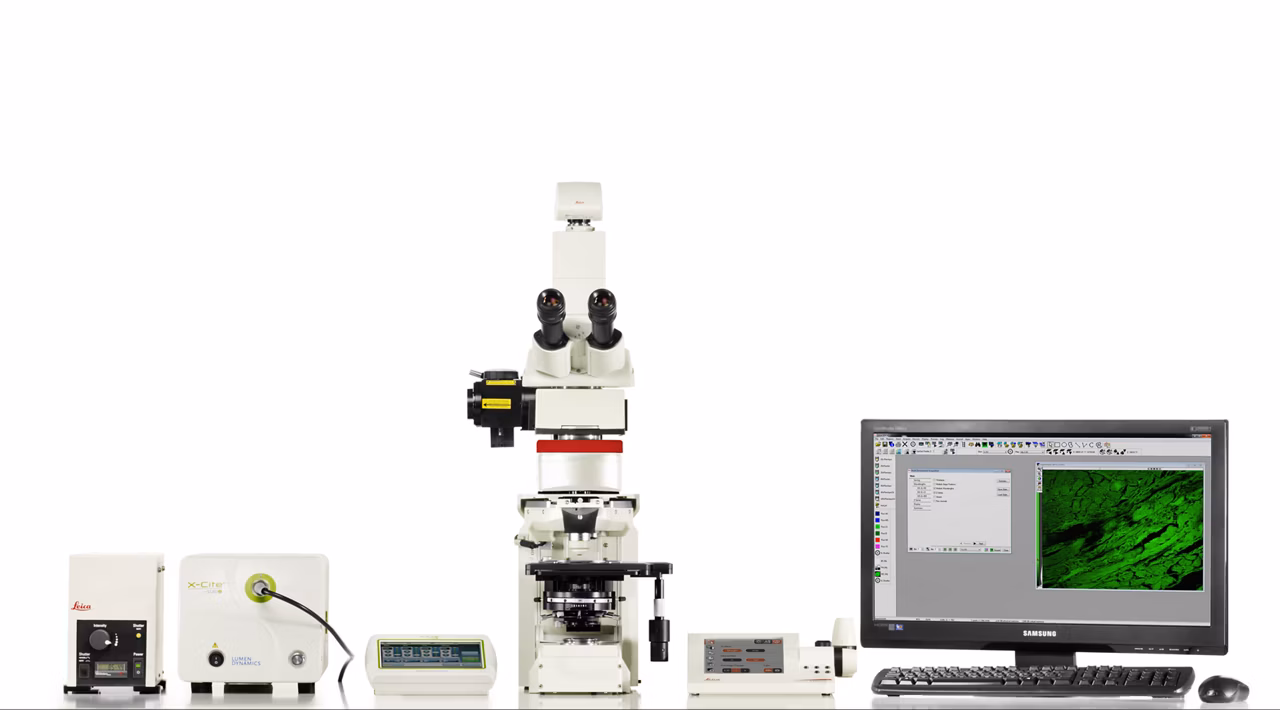 Leica Microsystems Dm6 Fs Image5