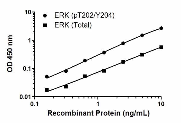 ERK1 (phospho T202 + Y204) + ERK2 (phospho T185 + Y187) + Total ELISA Kit(AB176660)