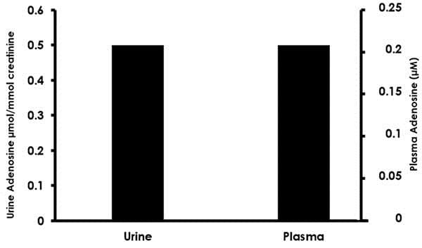 Adenosine Assay Kit (Fluorometric)(AB211094)