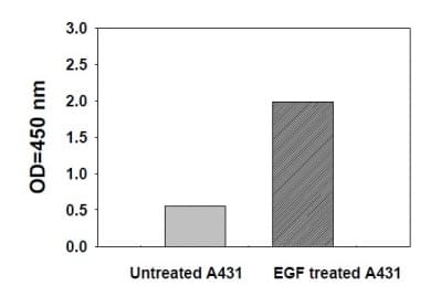 Phosphotyrosine STAT5 ELISA Kit(ab279945)