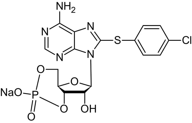8-(4-Chlorophenylthio)adenosine 3',5'-cyclic monophosphate (8-CPT-cAMP), Cell permeable cAMP analog.(AB120424)