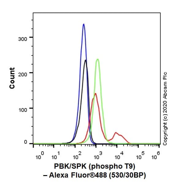 Anti-PBK/SPK (phospho T9) antibody [EPR2475(N)](AB184953)