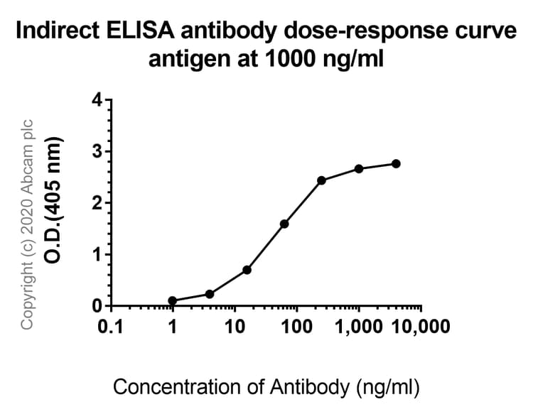 Anti-FGFR2 antibody [SP273] - BSA and Azide free(AB272012)