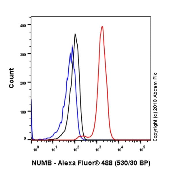 Anti-NUMB antibody [EPR21988] - BSA and Azide free(AB234108)