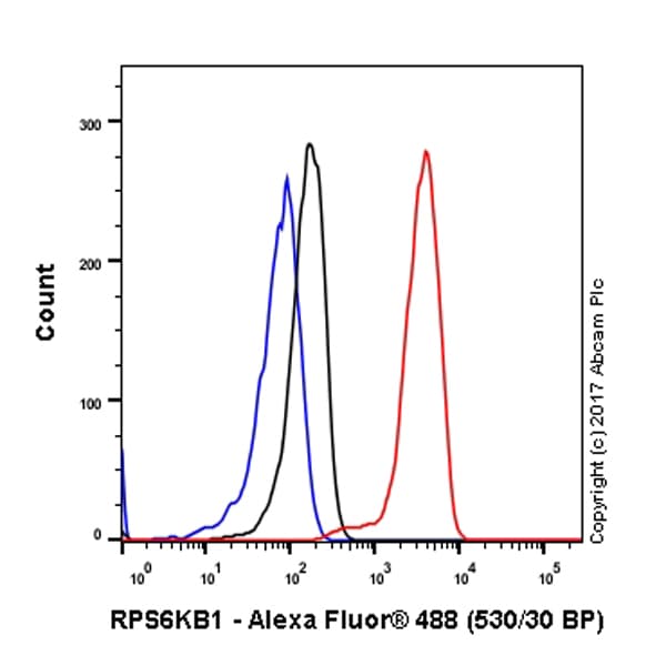 Anti-S6K1 antibody [E343] - BSA and Azide free(AB203558)