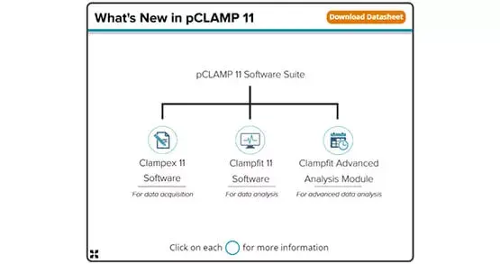 pCLAMP™ 11 Software Suite