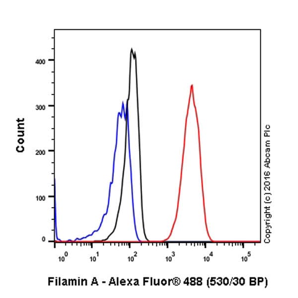 Anti-Filamin A antibody [EP2405Y](AB76289)