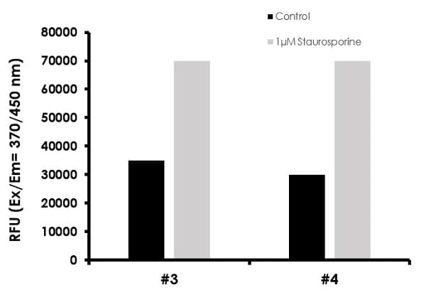 Caspase-3/7, Caspase-8 and Caspase-9 Multiplex Activity Assay Kit (Fluorometric)(AB219915)