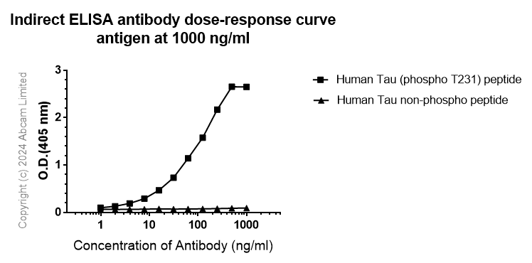 Anti-Tau (phospho T231) antibody [EPR2488] - BSA and Azide free(AB156624)