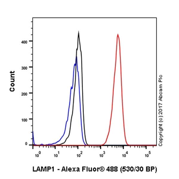 Anti-LAMP1 antibody [EPR21026](AB208943)