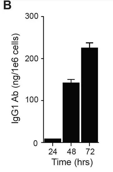 Mouse monoclonal [2C11] Anti-Human IgG1 Fc(AB1927)