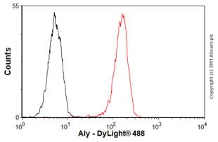 Anti-Aly/Ref antibody [11G5](AB6141)