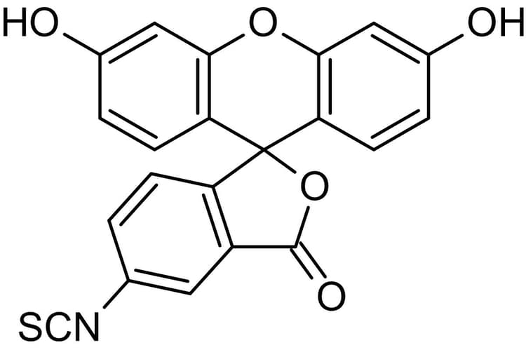 5-FITC (5-Fluorescein Isothiocyanate), Fluorescent marker(AB145325)