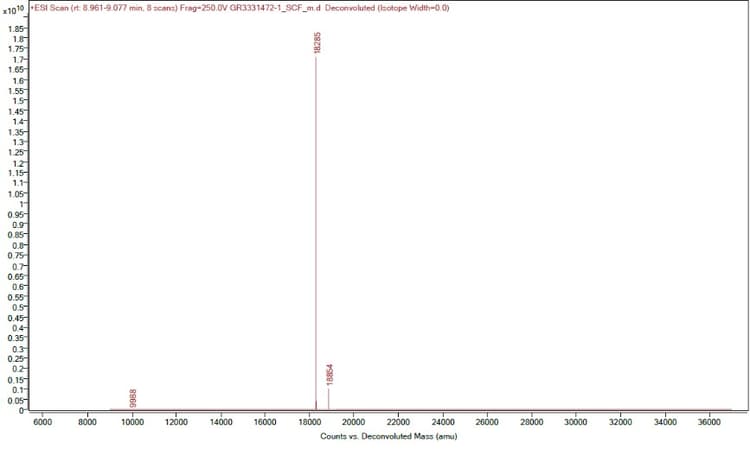 Recombinant mouse SCF protein (Active)(AB259390)