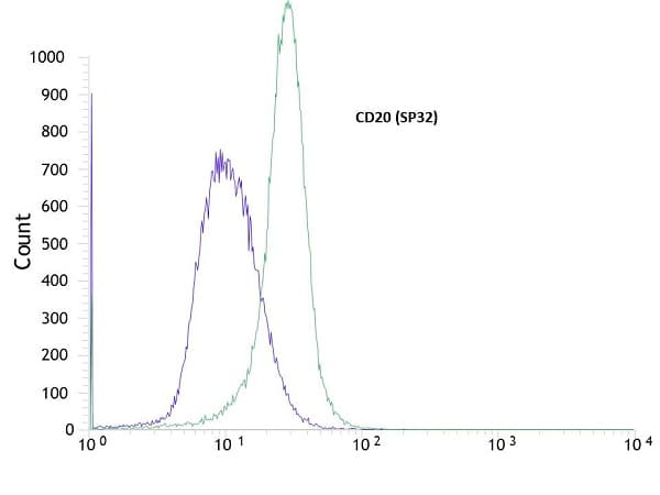 Anti-CD20 antibody [SP32](ab64088)