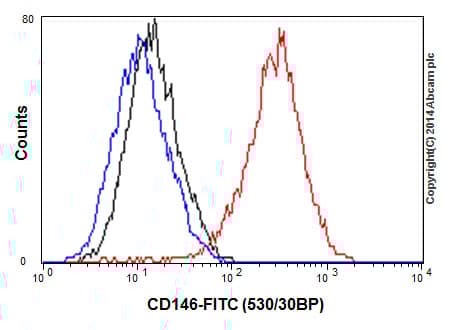 Anti-CD146 antibody [EPR3208](ab75769)