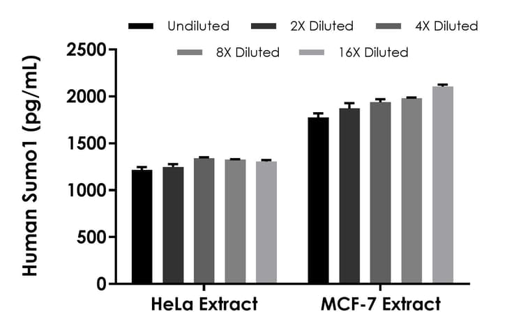 Human Sumo 1 ELISA Kit(ab309318)