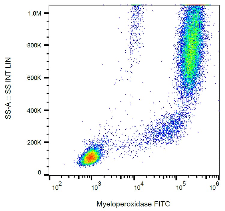 Fitc Myeloperoxidase Antibody Mpo421 8b2 Ab269284  Flow Cytometry Intracellular Img86623