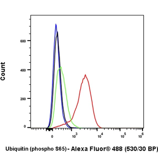 Anti-Ubiquitin (phospho S65) antibody [30H3/30K1](AB309155)