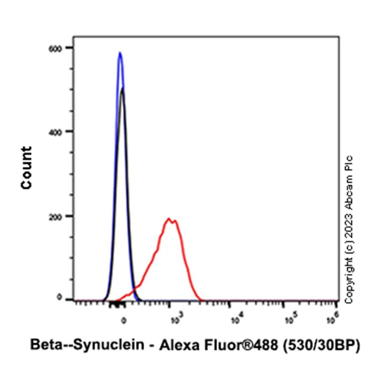 Anti-beta Synuclein antibody [EP1537Y] - BSA and Azide free(AB221908)