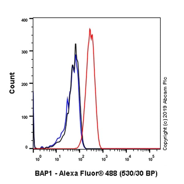 Anti-BAP1 antibody [EPR22826-65](ab255611)