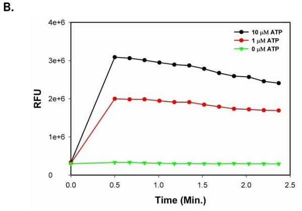 Calcium Flux Assay Kit (Flow cytometry)(AB233472)