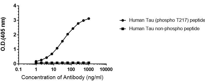 Anti-Tau (phospho T217) antibody [EPR24654-24] - BSA and Azide free(AB288167)