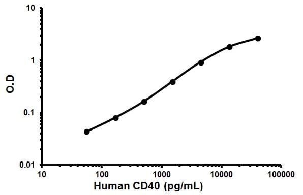 Human CD40 ELISA Kit(AB99990)