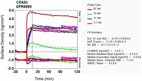 Anti-CD42b antibody [EPR6995](AB134087)