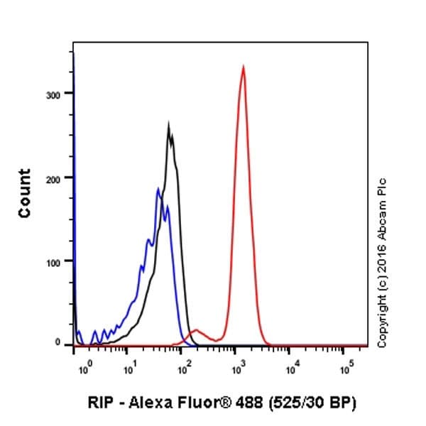 Anti-RIP antibody [EPR19697] - BSA and Azide free(AB238451)