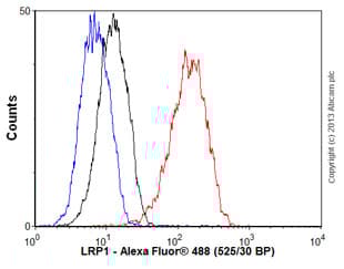 Anti-LRP1 antibody [EPR3724](AB92544)