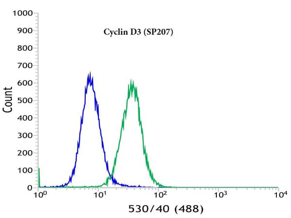 Anti-Cyclin D3/CCND3 antibody [SP207] - BSA and Azide free(AB245734)