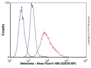 Anti-Melanoma antibody [HMB45 + M2-7C10 + M2-9E3 + T311](AB733)