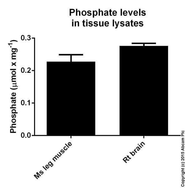 Phosphate Assay Kit (Colorimetric)(AB65622)