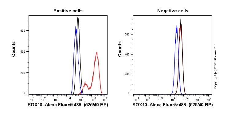 Anti-SOX10 antibody [SP267] - BSA and Azide free(AB245760)