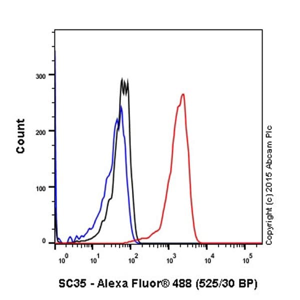 Anti-SC35 antibody [EPR12238](AB204916)