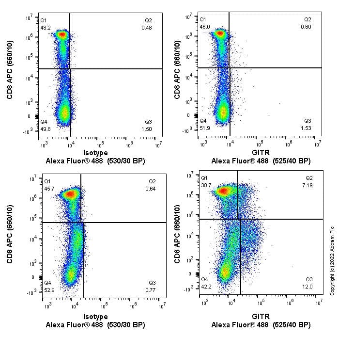 Alexa Fluor® 488 Anti-GITR antibody [CAL8](AB281749)