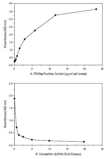PPAR alpha Transcription Factor Assay Kit(AB133107)