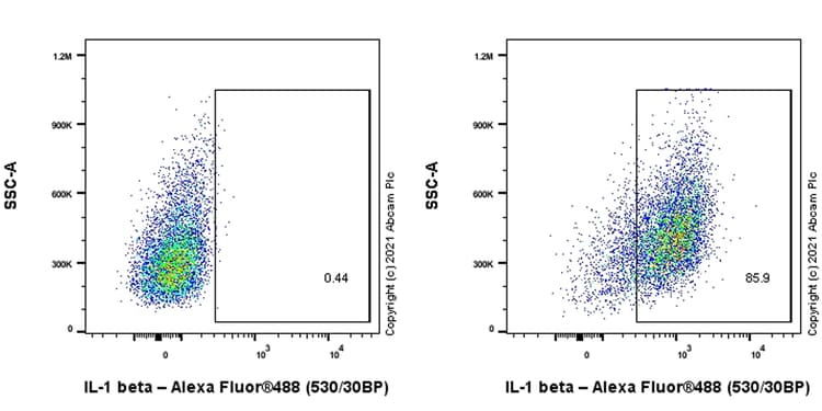 Anti-IL-1 beta antibody [EPR23851-127](AB254360)