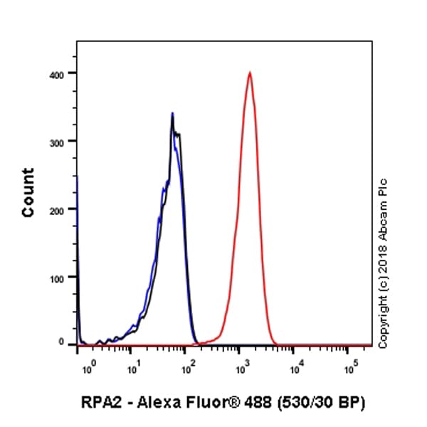 Anti-RPA32/RPA2 antibody [EPR2876(2)](AB109084)